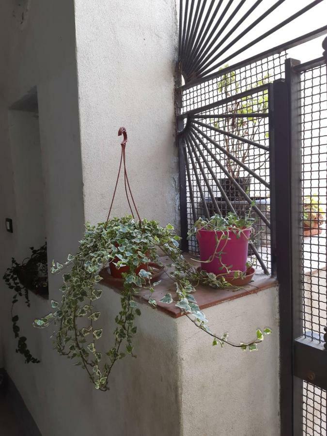 B&B Il Nespolo 살레르노 외부 사진